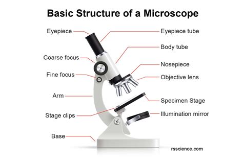the structure of microscope.